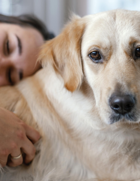 Dog lying down with his owner cuddling him