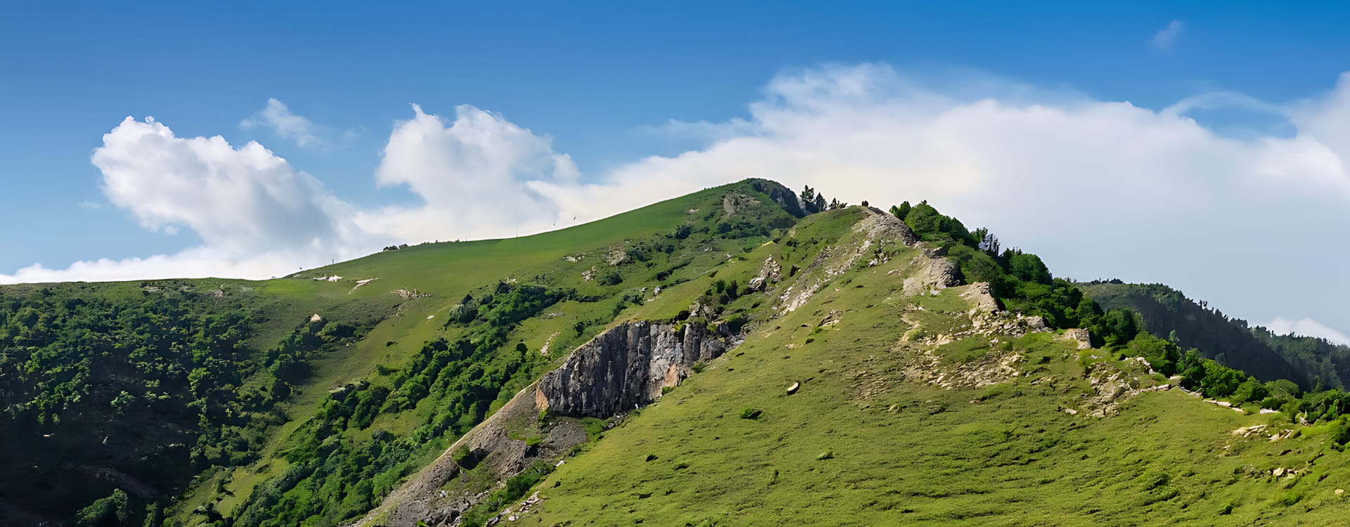 Montaña con árboles y praderas verdes