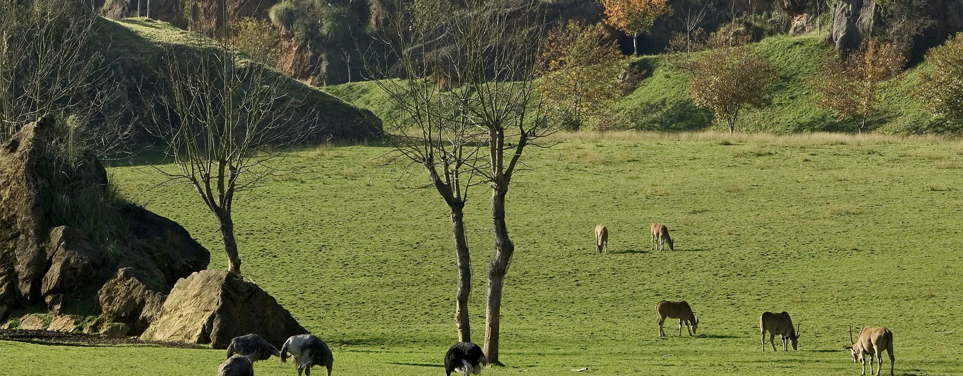 Image of the surroundings of the hotel spa villa pasiega in Hoznayo Cantabria